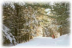 Paul Bunyan Trail - across our driveway